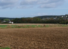 P1168887