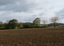 P1168889