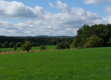 P1168913