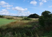 P1168931