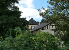 P1168994