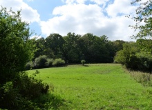 P1169012