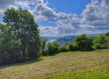 IMG_20260516_110401