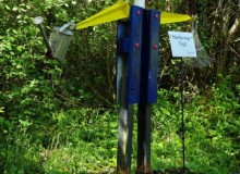 IMG_20260516_110946