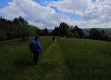 IMG_20260516_111641