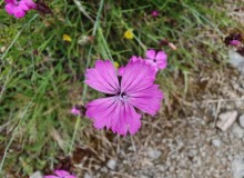 IMG_20260516_114232
