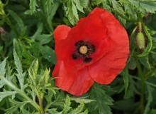 IMG_20260516_131914