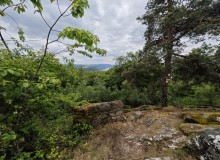 IMG_20260516_143128