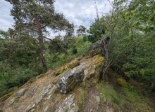 IMG_20260516_143131