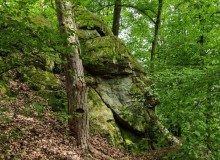 IMG_20260516_144341