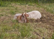 IMG_20260516_144945