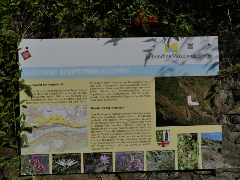 P1169522