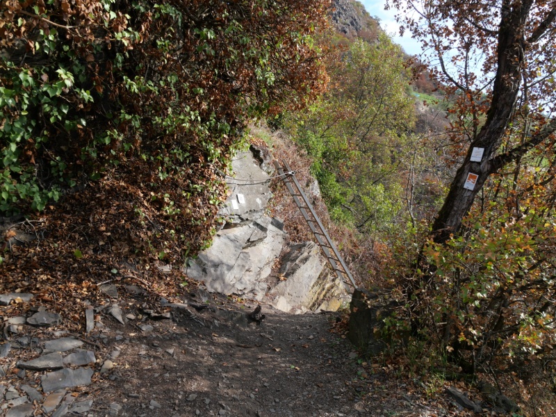 P1169531