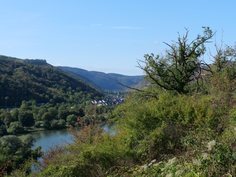 P1169573