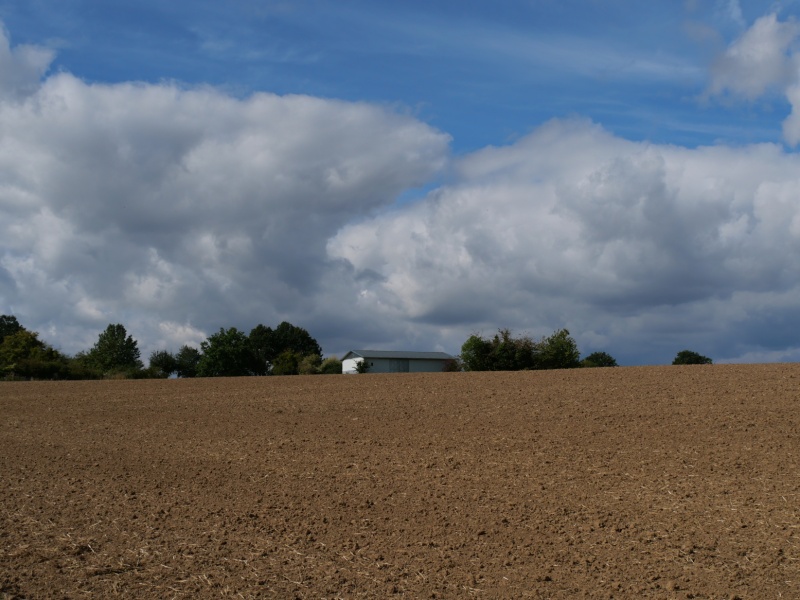 P1169654
