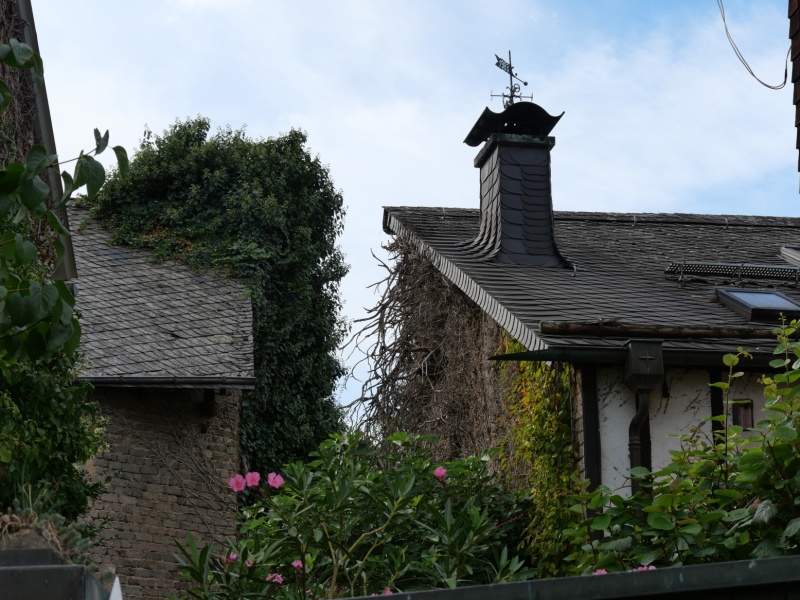 P1179807