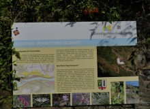 P1169522