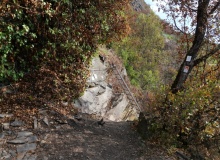 P1169531