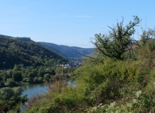 P1169573