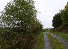 P1415758