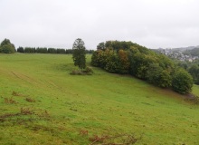 P1415767