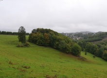 P1415770