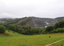 P1415773