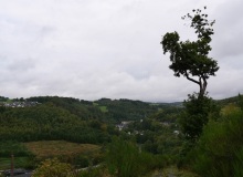P1415791