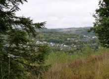 P1415824