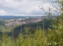 P1415836