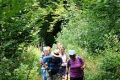 Wanderung im Düsseltal