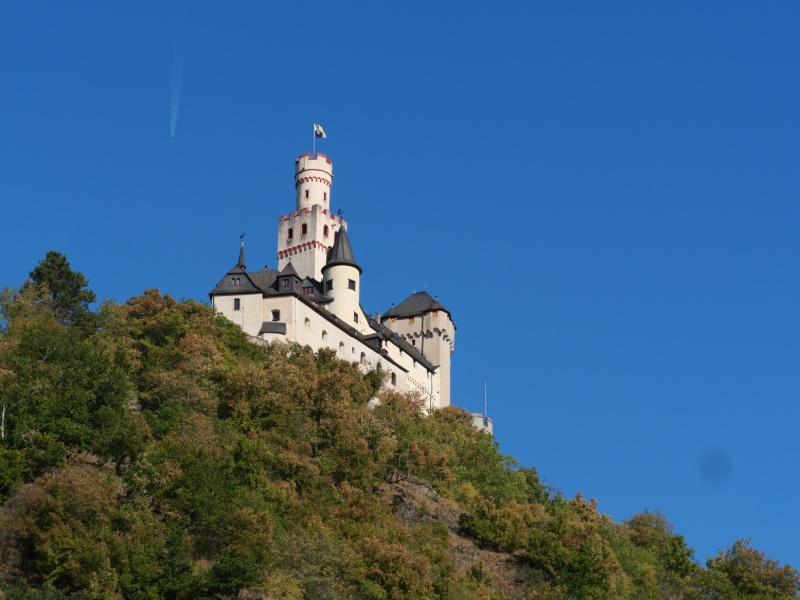 P1147026