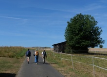 P1146894