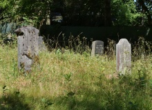 P1146942