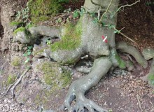 IMG_20250726_104900