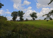 IMG_20250726_112759