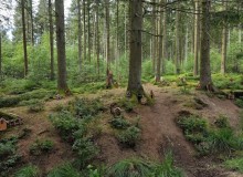 IMG_20250726_144830