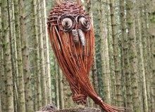 IMG_20250726_145659