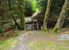 IMG_20250726_151409