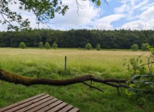 IMG_20260605_100841