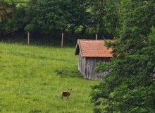 IMG_20260605_105714