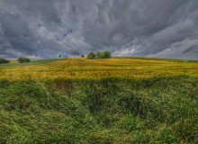 IMG_20260605_110532