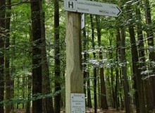 IMG_20260606_105324