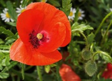 IMG_20260606_114400