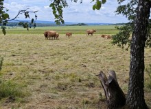 IMG_20260606_120643