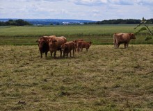 IMG_20260606_120700