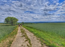 IMG_20260606_125625