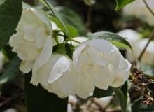 IMG_20260606_131805