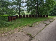 IMG_20260606_144137