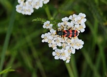 IMG_20260606_150202